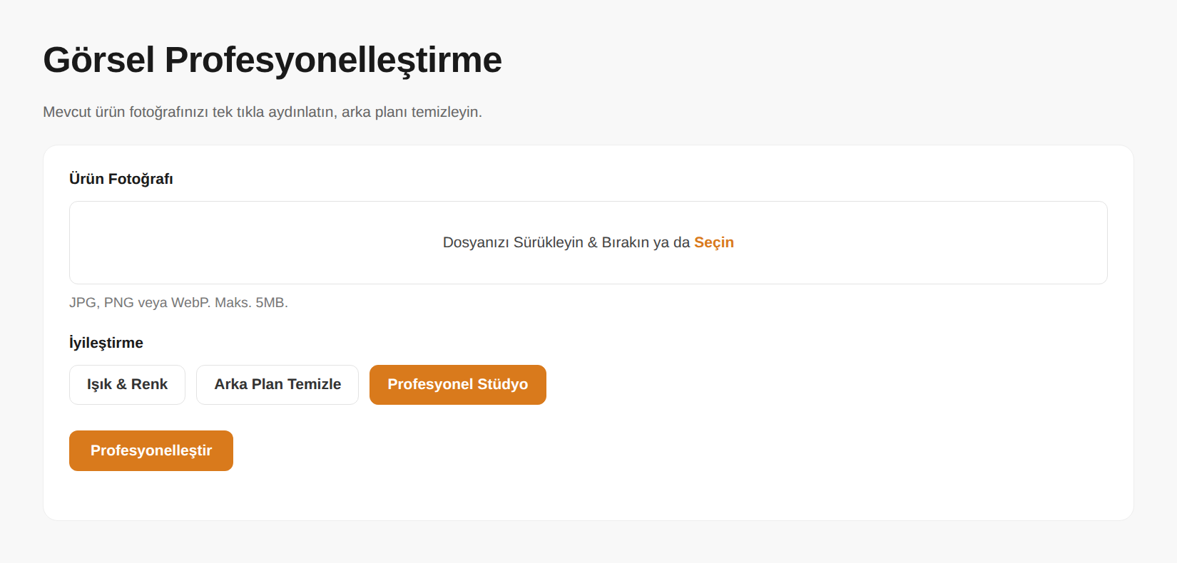 Görsel Profesyonelleştirme panel ekranı