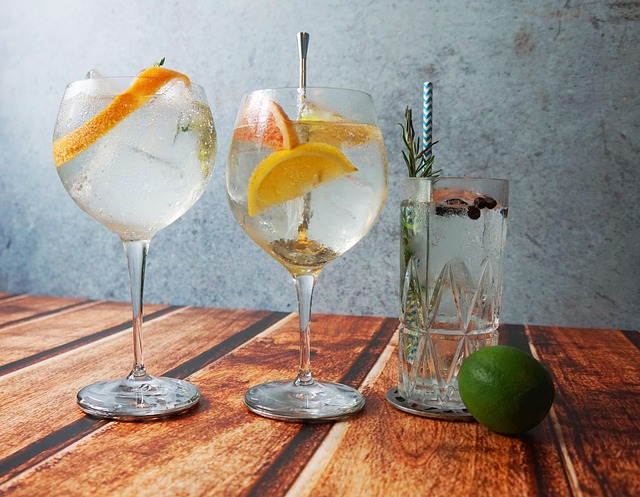 Gin Tonik