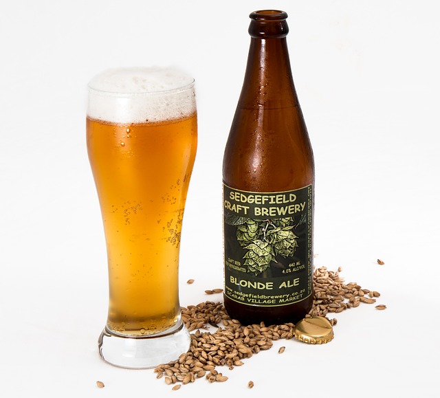 Bira (33 cl)
